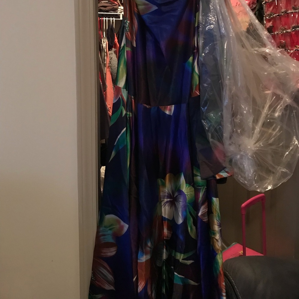 Plus Ball Gown Size 18W Multi Color